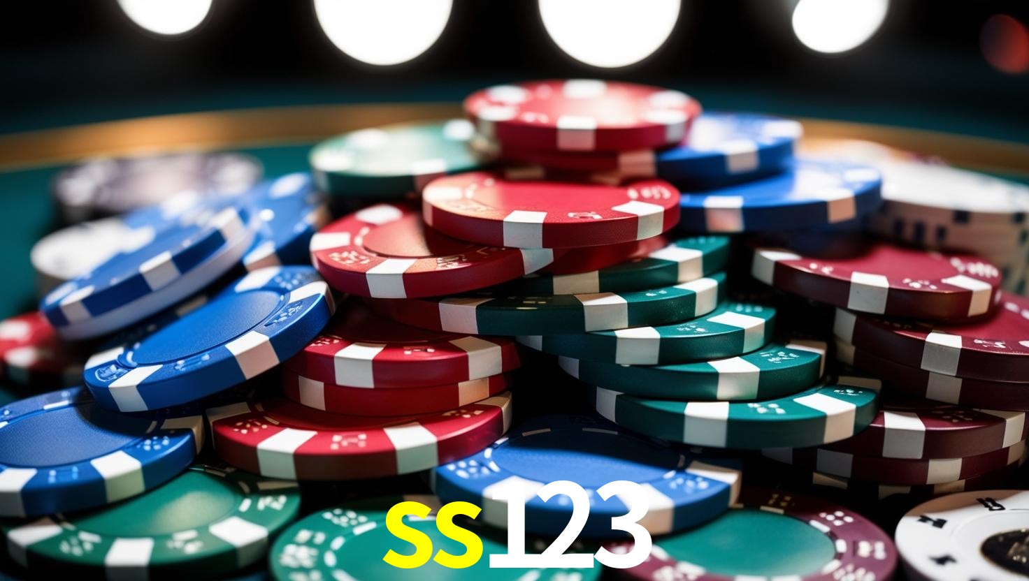 SS123.COM